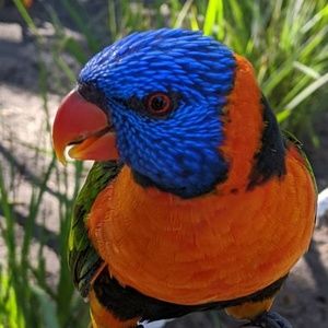 Meet your Posher, Claudia